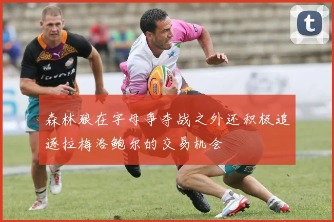 森林狼在字母争夺战之外还积极追逐拉梅洛鲍尔的交易机会